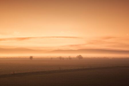 Foggy Landscape with trees and mountainsの写真素材