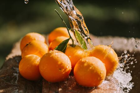 Healthy fresh orange fruits background .Citrus fruitsの写真素材