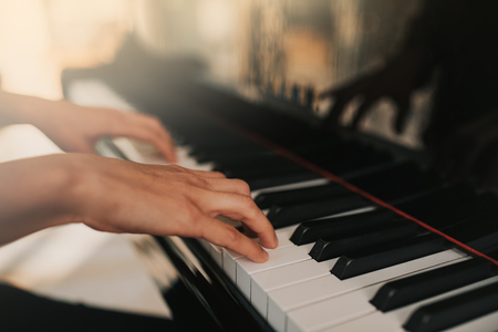 Piano music pianist hands playing. Musical instrument grand piano details with performer hand on white background.の写真素材