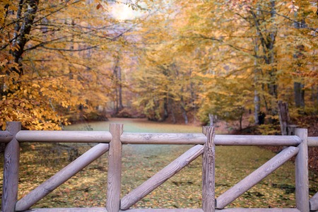 Autumn colors in nature and wooden bridge to look at viewの写真素材