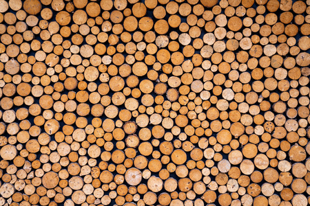 Round wooden stumps background,Trees cut section for background texture.