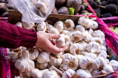 Choosing very healthy vegetable dried garlic from a pile in a groceryの写真素材