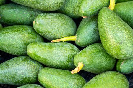 Above shoot of a pile of very delicious exotic vegetable, avacadoの写真素材