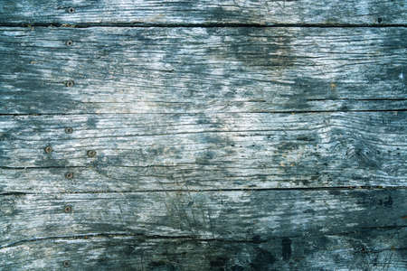 painted natural wood with grains for background, banner and texture. High quality photo