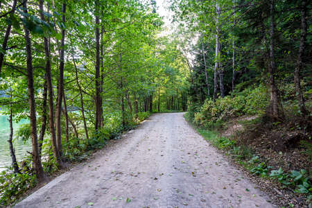 A beautiful forest road, path next to the peaceful lakeshore and forest. High quality photo