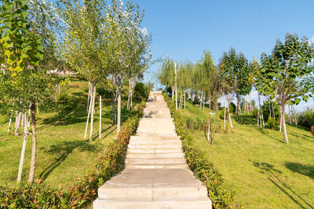 A beautiful stairs and walkway, path next to the peaceful public park and garden. High quality photo