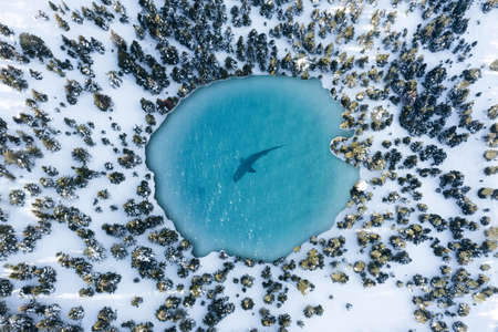 Aerial view of a lake with a shark in the snowy forest. Futuristic  nature photo. . High quality photoの写真素材