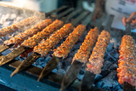 Traditional Turkish Adana kebab or kebap meat in Turkish restaurant. High quality photoの写真素材