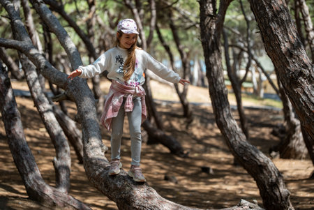 Little girl climbing tree in forest. High quality photoの写真素材