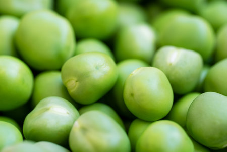 Close-up of fresh green peas. High quality photoの写真素材