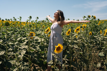 Happy woman arms raised and enjoying in sunflower field. High quality photoの写真素材