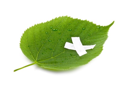 Save the nature  Ecology nature or environmental concept with green leaf and band aid on white