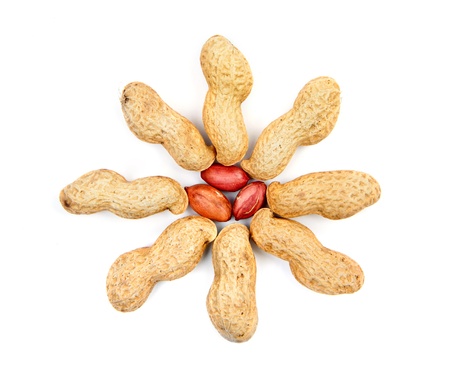 Groundnuts make flower 