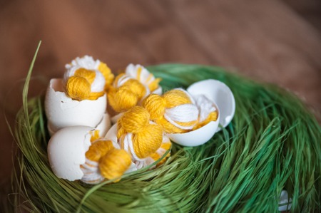Handmade chicken in shell. Easter decor of chicks and spring grass. Knitted chickens on the grass.