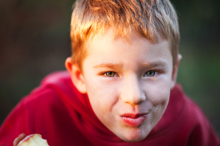 A cheerful boy with an apple rejoices, jumps and dances in summer in nature in the rays of the setting sun. A cheerful child in a red sweater and black pants. A boy eats an apple and grimacesの写真素材