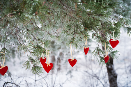 On the snow-covered branch of Christmas trees, Christmas decorations hang in the form of transparent balls, hearts of felt. A beautiful winter photo, a place for your text.の写真素材