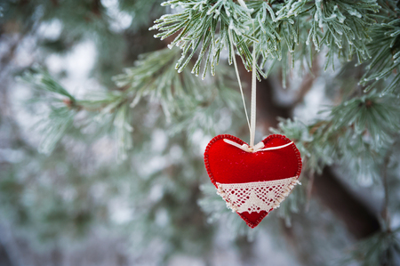 On the snow-covered branch of Christmas trees, Christmas decorations hang in the form of transparent balls, hearts of felt. A beautiful winter photo, a place for your text.の写真素材