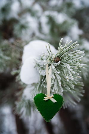 On the snow-covered branch of Christmas trees, Christmas decorations hang in the form of transparent balls, hearts of felt. A beautiful winter photo, a place for your text.の写真素材
