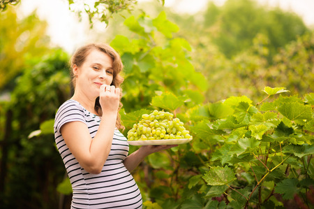 A beautiful young pregnant woman is standing in the summer near a vine grape and eating a ripe grapesの写真素材