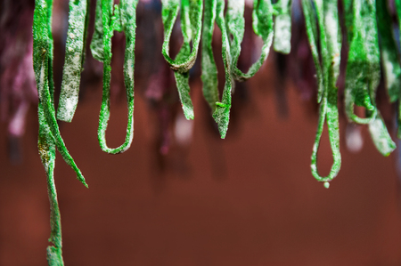 The homemade pasta paste is dried on the dryer. Green, red, blue, yellow fettuccine dries, textural background from pastaの写真素材