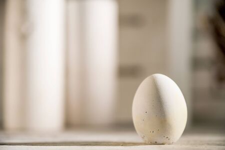Beautiful white light Easter photo. Egg of concrete Texture. Concrete vases in the Loft style in the background. Place for your textの写真素材