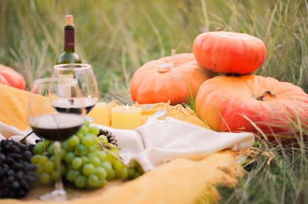 Concept of the Autumn Festival Halloween. Autumn picnic in nature with glasses of wine, grapes, pumpkins in the backgroundの写真素材