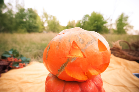 Pumpkins stand with a pyramid against the background of a yellow plaid and green grass. Carved pumpkin on Halloween. Natural texture of pumpkins. Autumn harvest of pumpkins. Place and background for textの写真素材