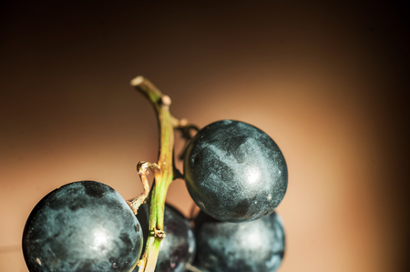 A bunch of dark blue grapes on a dark background close up. Grapes, cut in half, grape seedsの写真素材