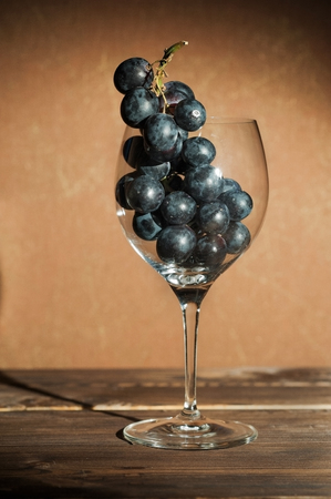 A bunch of blue dark grapes in a wine glass on a dark background in an artificial close-up lightingの写真素材