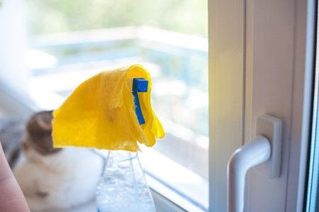 Window cleaner, yellow rag. Carrying out home inspections, a cat on the windowsill and a means for washing windows. Focus on hands, dirty and clean window, detergentの写真素材