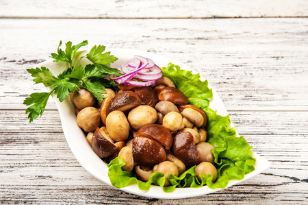 Fermented food on a white plate. Marinated mushrooms champignons with rings and parsley close up and copy spaceの写真素材