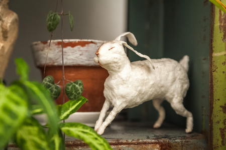 White bunny on a white background. Easter concept, tenderness, uniqueness, beauty. Bunny close up and copy spaceの写真素材