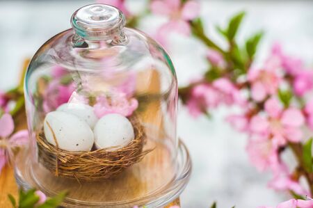 Natural background of a blooming garden. Easter concept in spring. Miniature eggs and flowering twig...