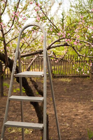 Staircase against the background of a blooming garden. Metal stepladder and background from trees in spring close-up and copy space.の写真素材