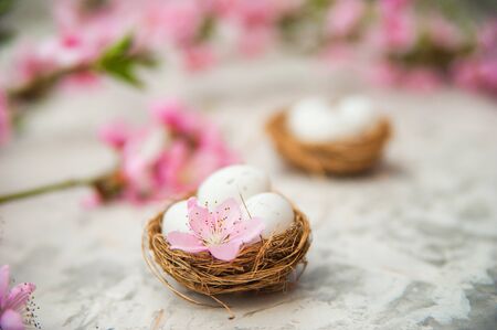 Spring photo of a blossoming tree and Easter eggs close-up and copy space. Easter card concept with bunny and eggs. Trending pink shades.の写真素材
