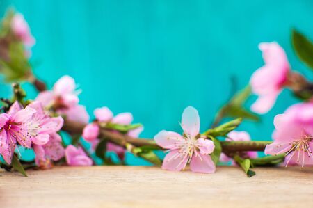 Floral background for text for the holiday March 8 Women's Day. Wooden table top with flowers...