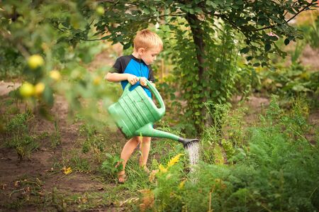 A boy watering flowers and a vegetable garden with a watering can. The boy helps with the summer garden. Children's games with water in the backyard.の写真素材