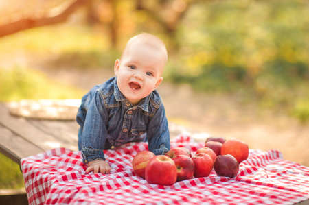 Baby and apples in nature. Funny little kid farmer and apples harvest, autumn close-up portrait and copy space.の写真素材