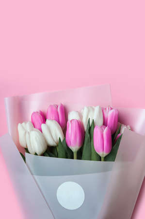 Spring background card Pink and white tulips in pastel pink background close-up. Fresh flowers for horizontal flower poster, wallpaper or postcard. Easter banner, greeting card. Copy spaceの写真素材