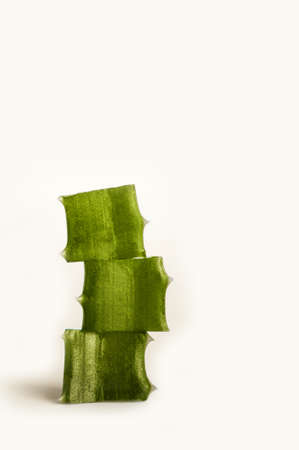 Three slices of aloe vera isolated on white background close-up. Skincare, health care conceptの写真素材