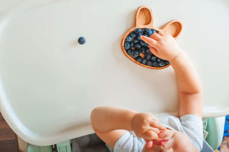 Blonde toddler boy eating Yummy blueberries on highchair close-up and copy space.の写真素材
