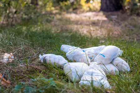 Used dirty diapers on the grass. Ecology, environmental pollution concept.の写真素材