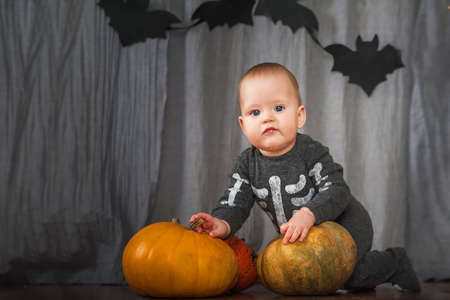 Baby 8 months with pumpkins for Halloween. Infant at home with pumpkin harvest and wearing skeleton costume.の写真素材