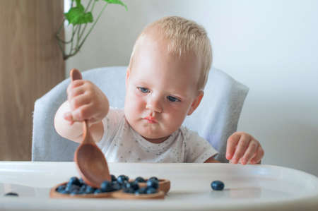 Blonde toddler boy eating Yummy blueberries wooden spoon on highchair close-up and copy space.の写真素材