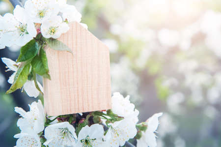 Miniature house on flowering branch close-up and copy space.の写真素材