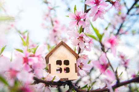 Miniature house on flowering branch close-up and copy space. Wooden house and flowers as postcard for holiday. Beginning of spring.の写真素材