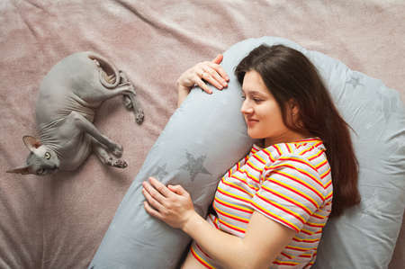 Young pregnant woman with maternity pillow and pet cat Sphynx..の写真素材