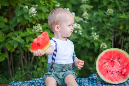 Handsome toddler boy eating juicy ripe watermelon in summer outdoors.の写真素材