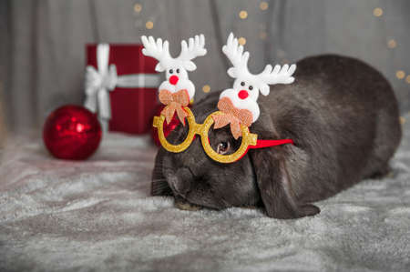 Happy new year 2023 background. Rabbit and Christmas balls with gifts. New year holidays card...