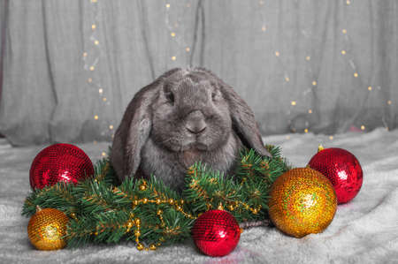 Happy new year 2023 background. Rabbit and Christmas balls with gifts. New year holidays card invitation with bright lights, giftsの写真素材